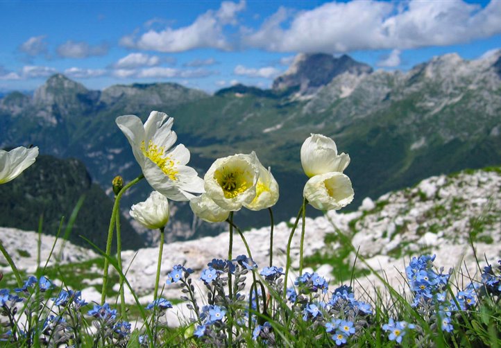 Riserva della Biosfera Alpi Giulie